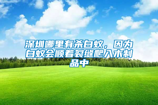 深圳哪里有殺白蟻，因?yàn)榘紫仌?huì)順著裂縫爬入木制品中