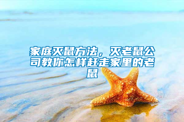 家庭滅鼠方法，滅老鼠公司教你怎樣趕走家里的老鼠