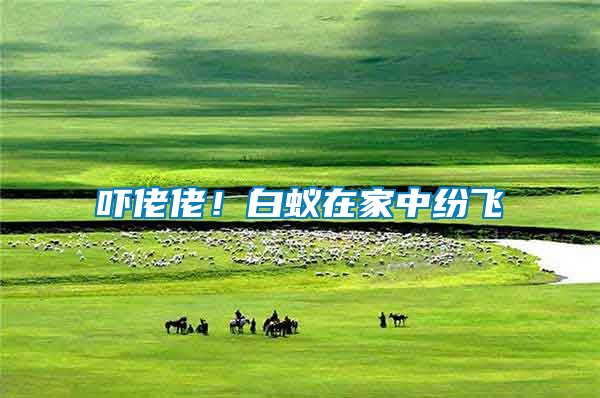 嚇佬佬！白蟻在家中紛飛