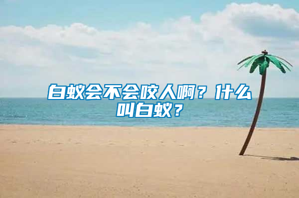 白蟻會(huì)不會(huì)咬人?。渴裁唇邪紫?？