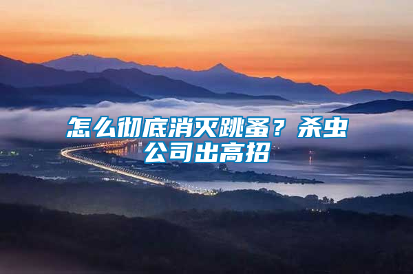 怎么徹底消滅跳蚤？殺蟲(chóng)公司出高招