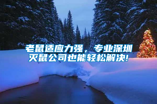 老鼠適應(yīng)力強(qiáng)，專業(yè)深圳滅鼠公司也能輕松解決!