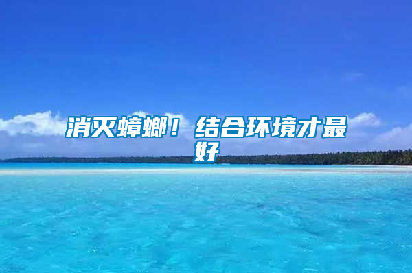 消滅蟑螂！結(jié)合環(huán)境才最好
