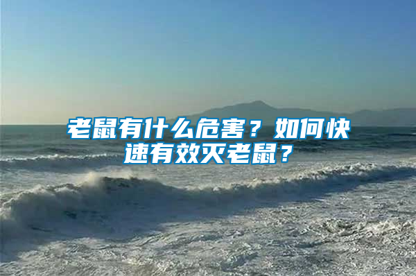 老鼠有什么危害？如何快速有效滅老鼠？