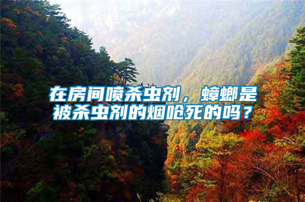 在房間噴殺蟲(chóng)劑，蟑螂是被殺蟲(chóng)劑的煙嗆死的嗎？