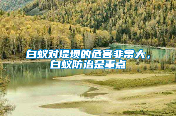 白蟻對堤壩的危害非常大，白蟻防治是重點(diǎn)
