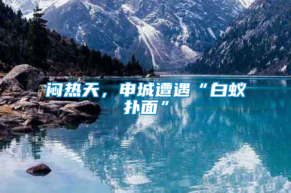 悶熱天，申城遭遇“白蟻撲面”
