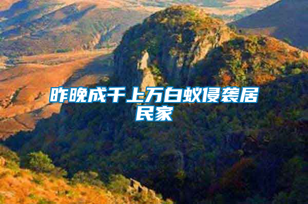 昨晚成千上萬(wàn)白蟻侵襲居民家