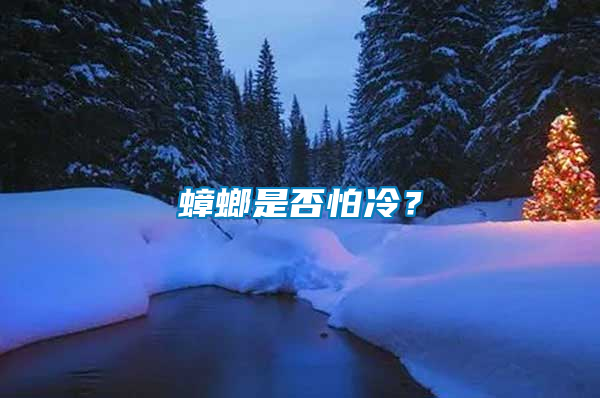 蟑螂是否怕冷？