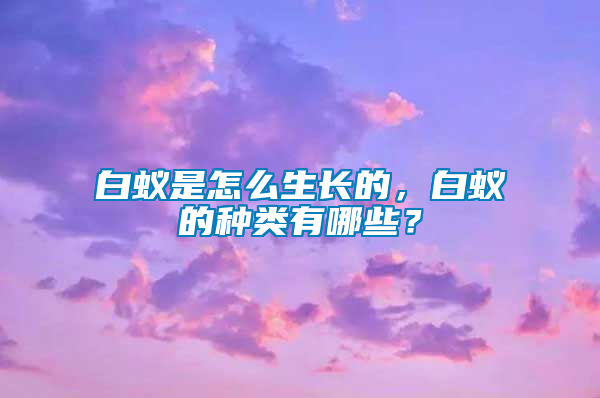 白蟻是怎么生長的，白蟻的種類有哪些？