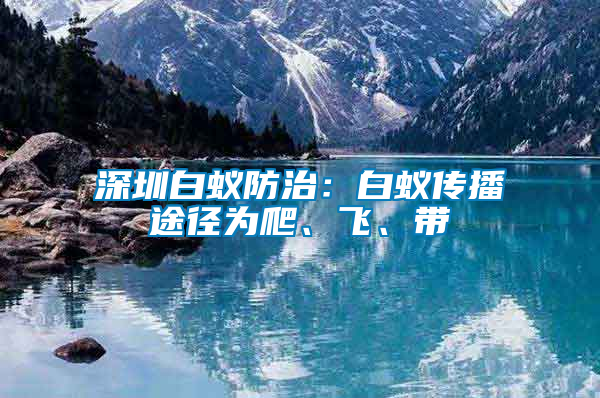 深圳白蟻防治：白蟻傳播途徑為爬、飛、帶