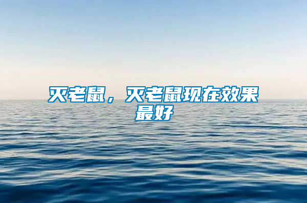 滅老鼠，滅老鼠現(xiàn)在效果最好