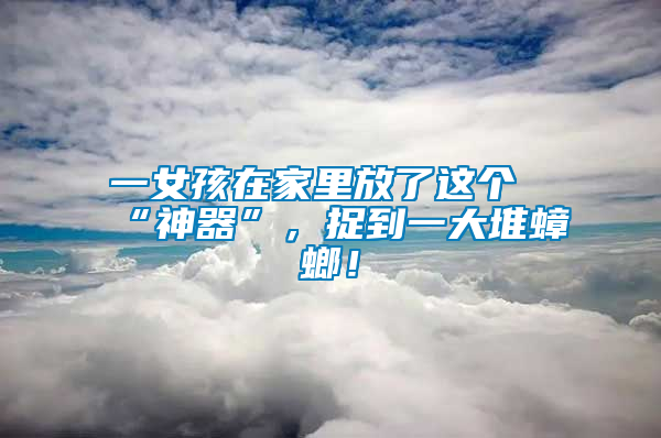 一女孩在家里放了這個(gè)“神器”，捉到一大堆蟑螂！
