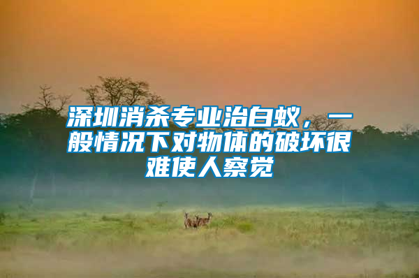 深圳消殺專業(yè)治白蟻，一般情況下對(duì)物體的破壞很難使人察覺