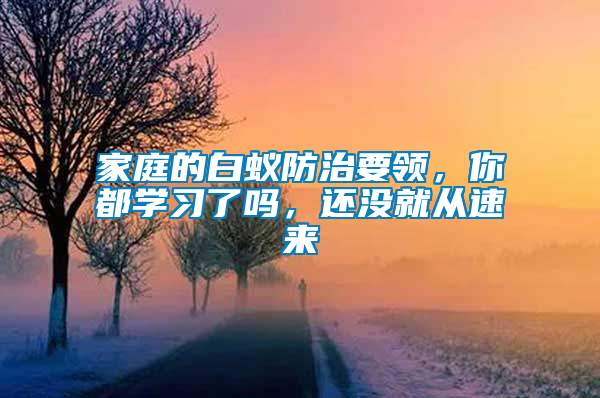 家庭的白蟻防治要領，你都學習了嗎，還沒就從速來