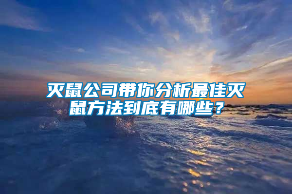 滅鼠公司帶你分析最佳滅鼠方法到底有哪些？
