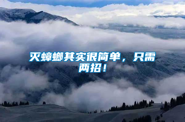 滅蟑螂其實很簡單，只需兩招！