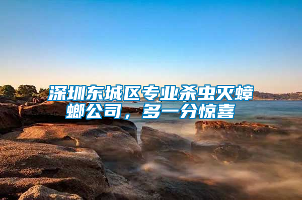 深圳東城區(qū)專業(yè)殺蟲滅蟑螂公司，多一分驚喜