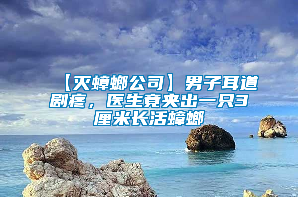 【滅蟑螂公司】男子耳道劇疼，醫(yī)生竟夾出一只3厘米長(zhǎng)活蟑螂