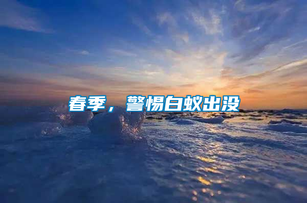 春季，警惕白蟻出沒