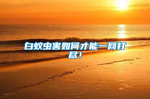 白蟻蟲害如何才能一網(wǎng)打盡！