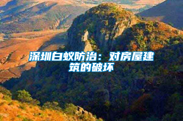 深圳白蟻防治：對(duì)房屋建筑的破壞