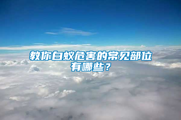 教你白蟻危害的常見部位有哪些？