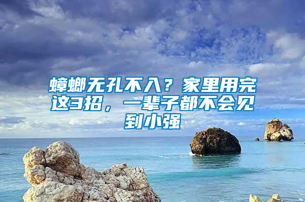 蟑螂無孔不入？家里用完這3招，一輩子都不會(huì)見到小強(qiáng)