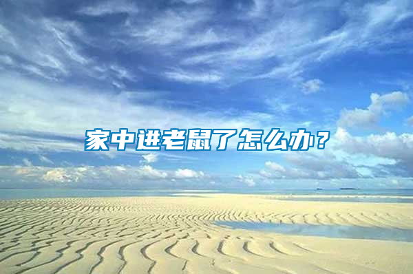家中進老鼠了怎么辦？