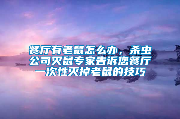 餐廳有老鼠怎么辦，殺蟲公司滅鼠專家告訴您餐廳一次性滅掉老鼠的技巧