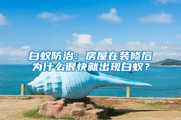 白蟻防治：房屋在裝修后為什么很快就出現(xiàn)白蟻？