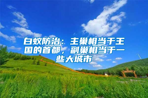 白蟻防治：主巢相當(dāng)于王國(guó)的首都，副巢相當(dāng)于一些大城市