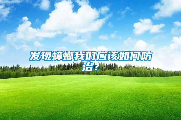 發(fā)現(xiàn)蟑螂我們應(yīng)該如何防治？