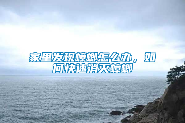 家里發(fā)現(xiàn)蟑螂怎么辦，如何快速消滅蟑螂