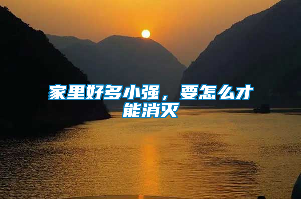 家里好多小強，要怎么才能消滅