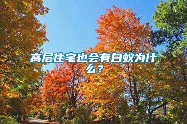 高層住宅也會(huì)有白蟻為什么？