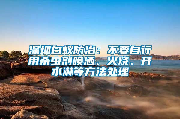 深圳白蟻防治：不要自行用殺蟲劑噴灑、火燒、開水淋等方法處理