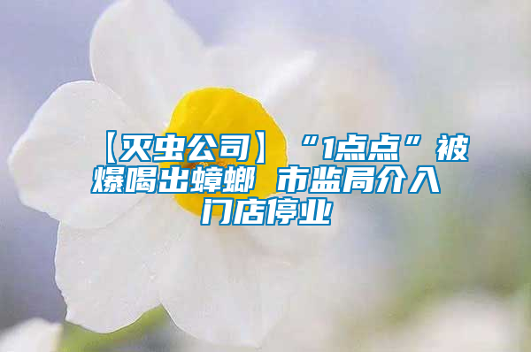 【滅蟲(chóng)公司】“1點(diǎn)點(diǎn)”被爆喝出蟑螂 市監(jiān)局介入門店停業(yè)