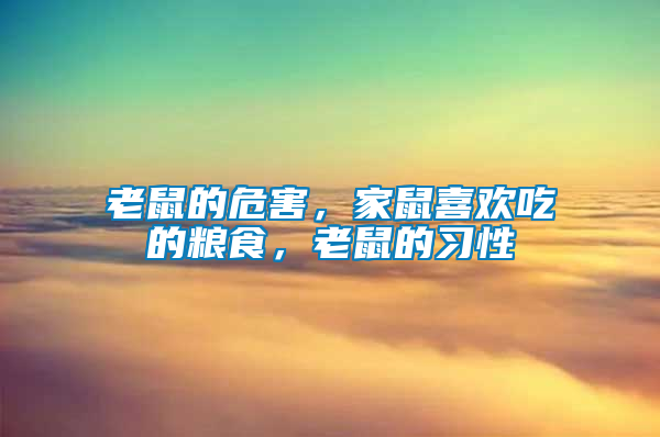 老鼠的危害，家鼠喜歡吃的糧食，老鼠的習(xí)性