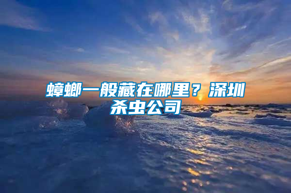 蟑螂一般藏在哪里？深圳殺蟲公司