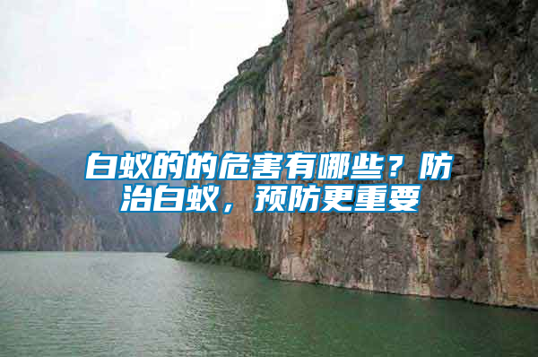白蟻的的危害有哪些？防治白蟻，預(yù)防更重要