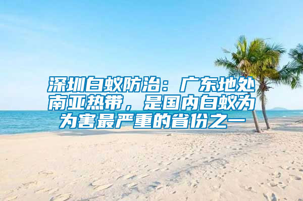 深圳白蟻防治：廣東地處南亞熱帶，是國內(nèi)白蟻為為害最嚴重的省份之一