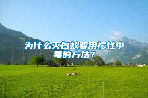 為什么滅白蟻要用慢性中毒的方法？