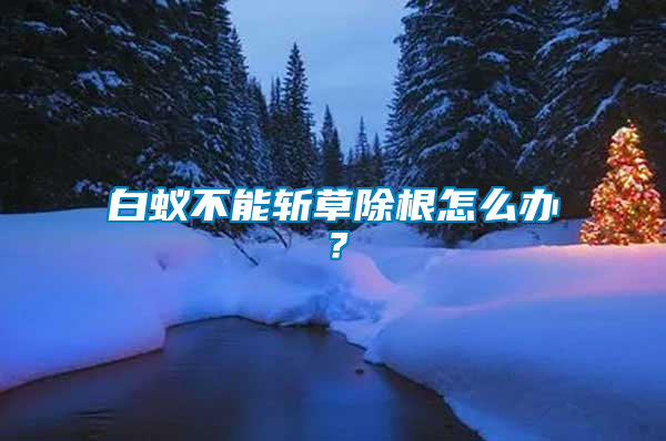 白蟻不能斬草除根怎么辦？
