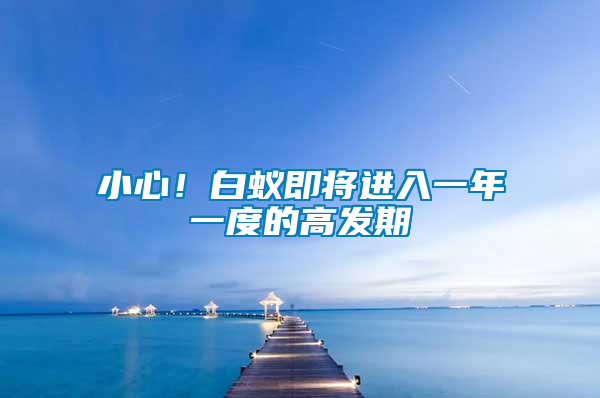小心！白蟻即將進(jìn)入一年一度的高發(fā)期