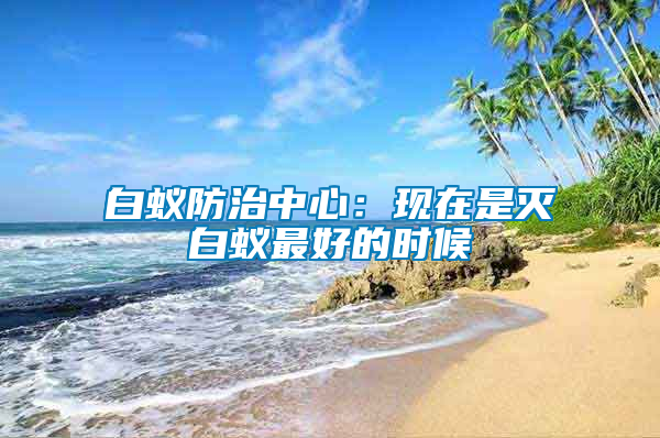 白蟻防治中心：現(xiàn)在是滅白蟻?zhàn)詈玫臅r候