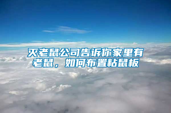 滅老鼠公司告訴你家里有老鼠，如何布置粘鼠板