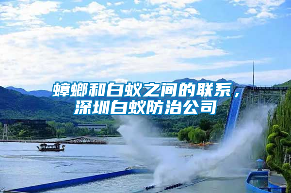 蟑螂和白蟻之間的聯(lián)系，深圳白蟻防治公司