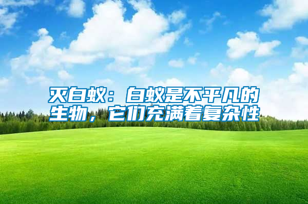 滅白蟻：白蟻是不平凡的生物，它們充滿著復(fù)雜性