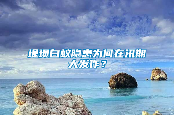 堤壩白蟻隱患為何在汛期大發(fā)作？